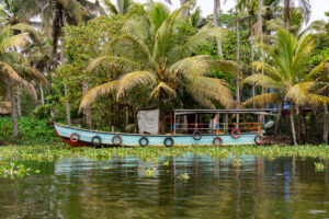 Buntes Boot in den Alleppey Backwaters in Kerala in Indien
