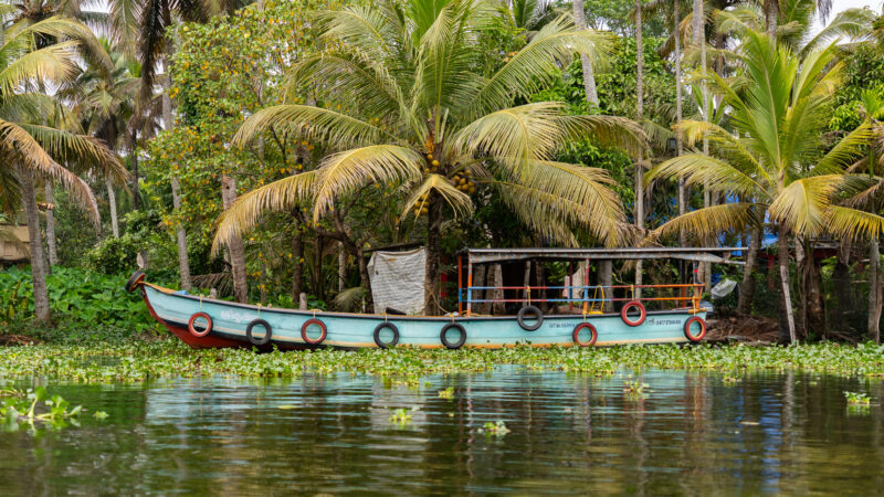 Buntes Boot in den Alleppey Backwaters in Kerala in Indien