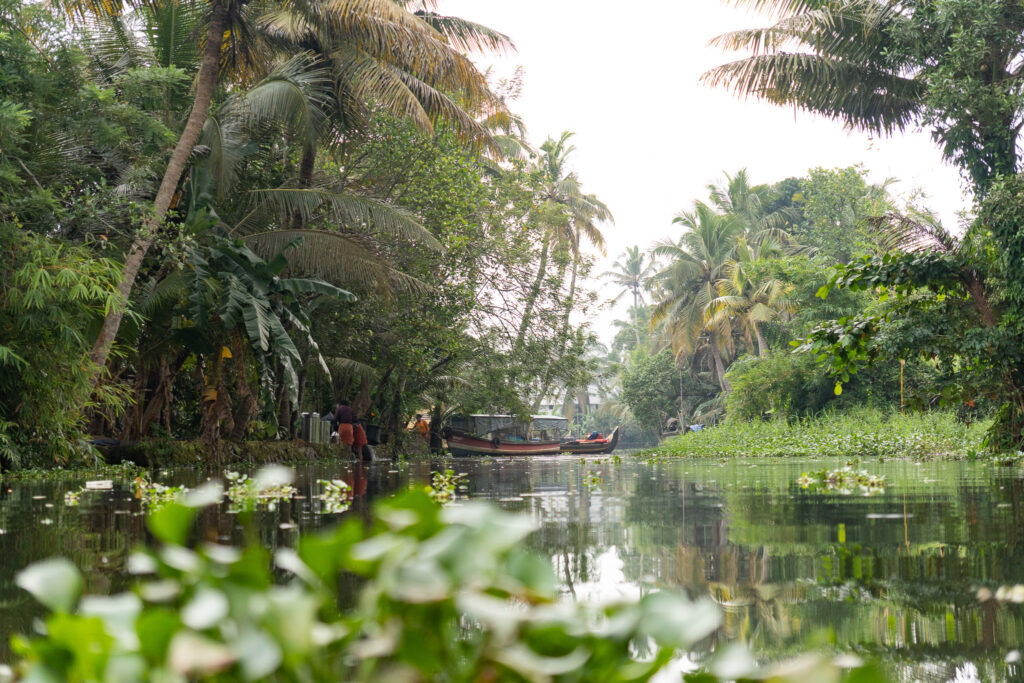 Mystisches Licht in den Kerala Backwaters in Südindien