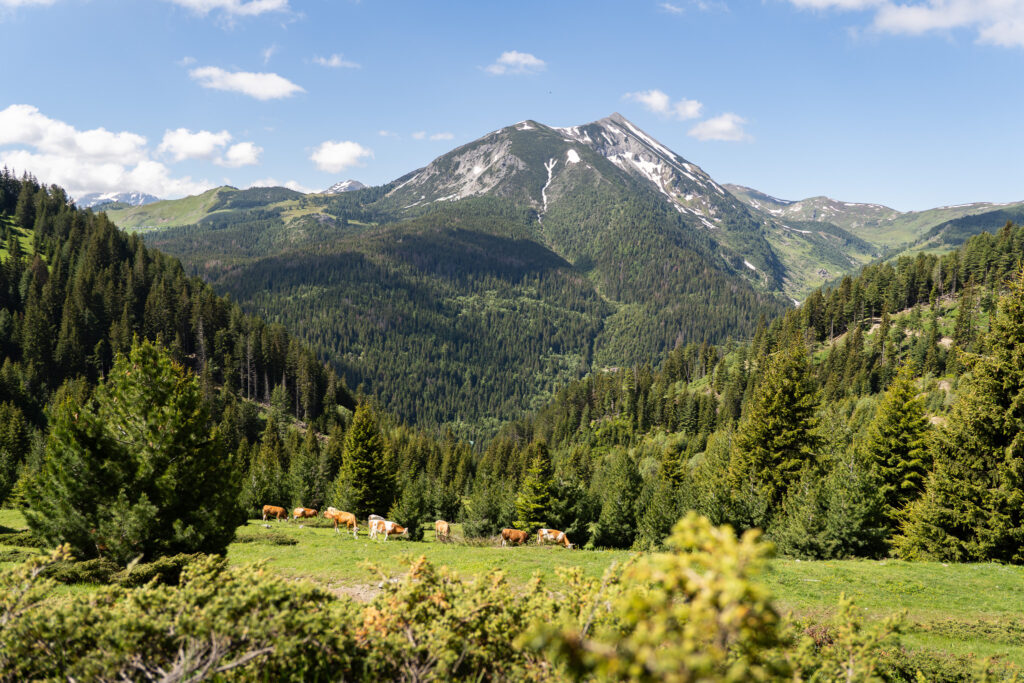 Kosovo auf dem Peaks of the Balkans Trail