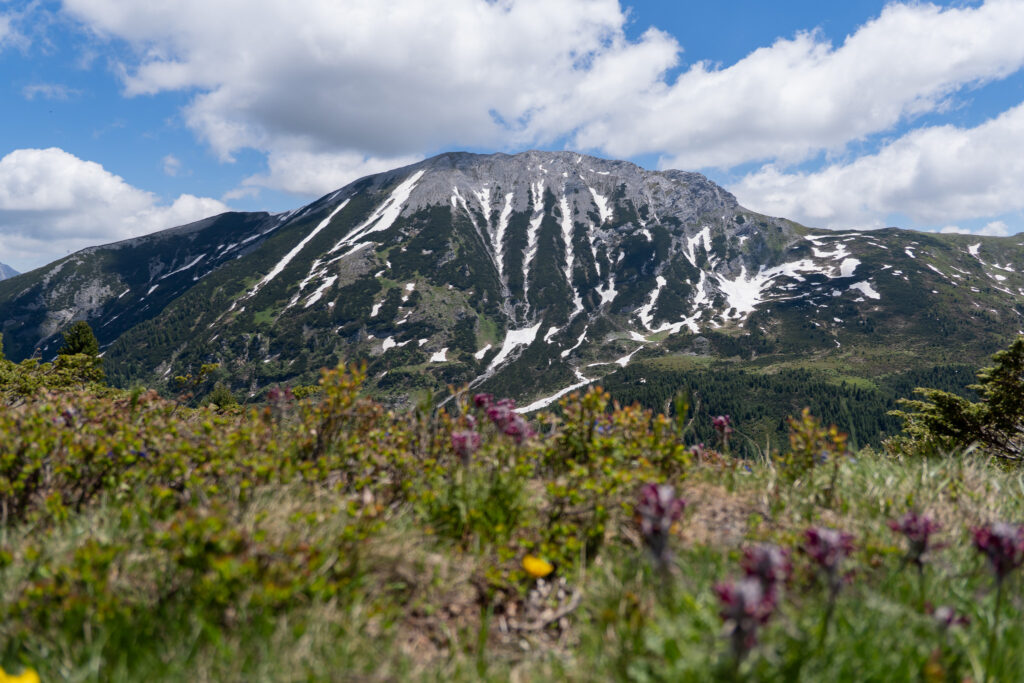 Peaks of the Balkans Wanderung im Juni